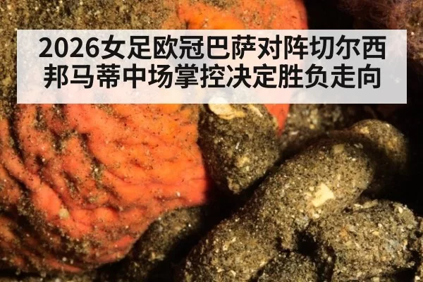 2026女足欧冠巴萨对阵切尔西 邦马蒂中场掌控决定胜负走向